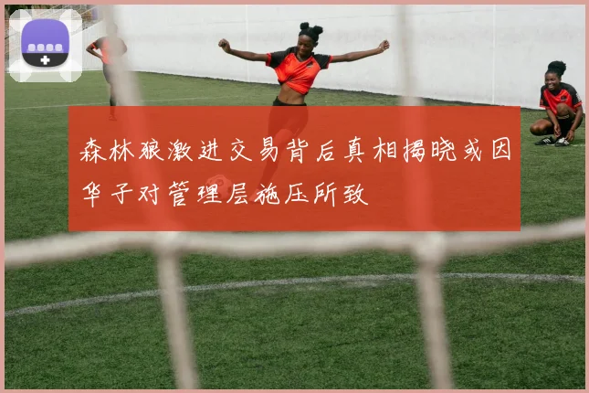 森林狼激进交易背后真相揭晓或因华子对管理层施压所致