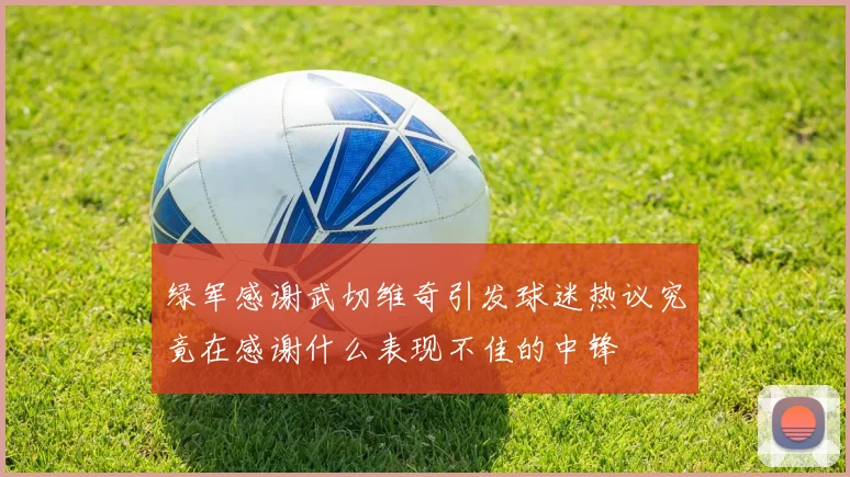 绿军感谢武切维奇引发球迷热议究竟在感谢什么表现不佳的中锋