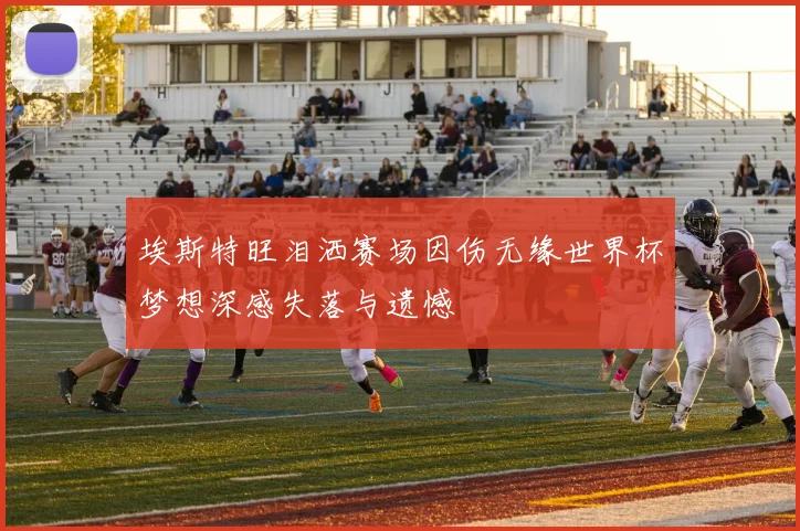埃斯特旺泪洒赛场因伤无缘世界杯梦想深感失落与遗憾