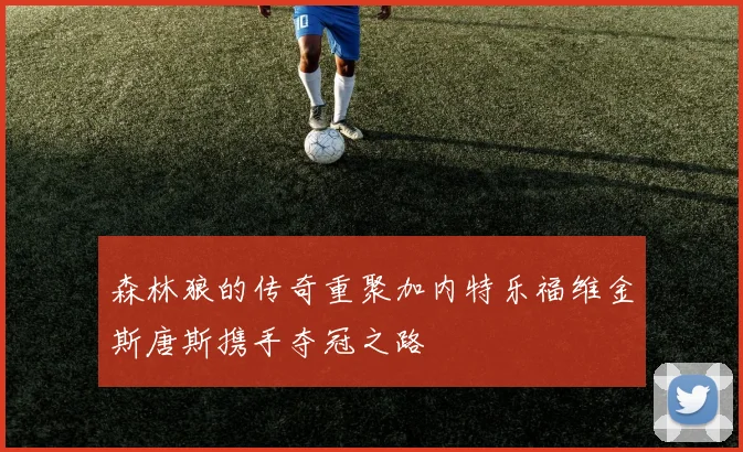 森林狼的传奇重聚加内特乐福维金斯唐斯携手夺冠之路